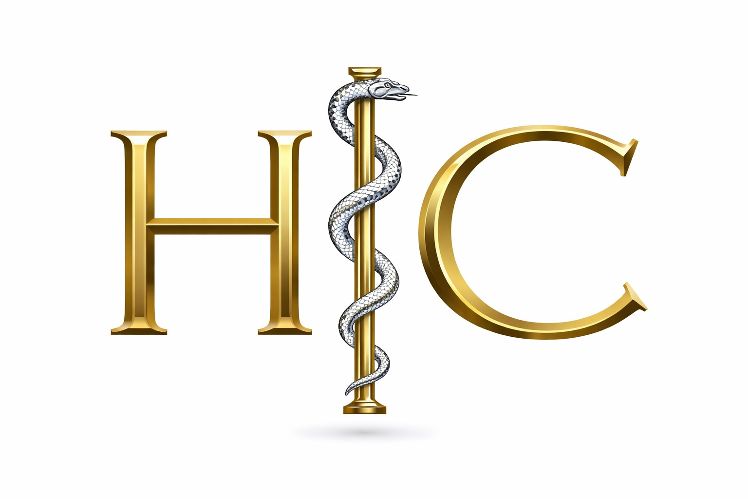 HIC – Health Information Consulting Ltd